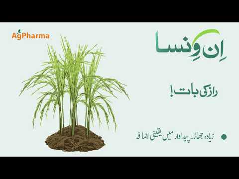 Invinsa field use