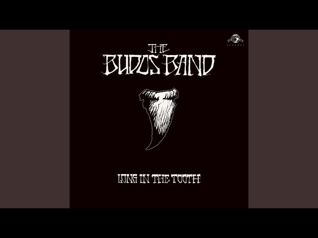 The Budos Band: una carriera musicale ricca di stile, sound e groove