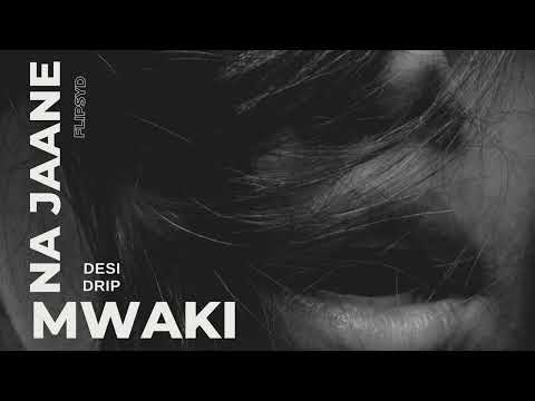 Na Jaane x Mwaki // Flipsyd // Desi Drip
