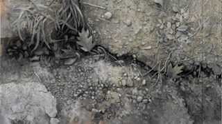 The River (Anathallo)