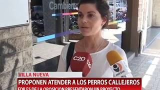 [VILLA NUEVA] PRESENTAN UN PROYECTO QUE EVITE LA SUPERPOBLACIÓN ANIMAL