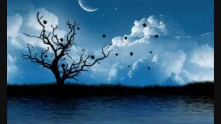 Andru Donalds-My place is here