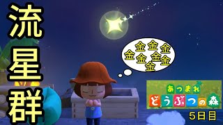 思ってた流星群と違った。「あつまれ どうぶつの森」実況【５日目】