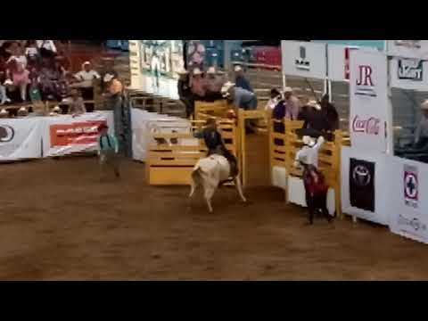 Mario Galindo Invitational 11