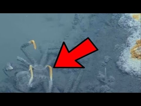 Dünyadaki En Tehlikeli Sular