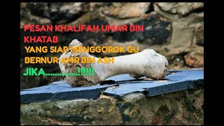 Download lagu Kisah Yahudi masuk islam karena keadilan Umar Bin Khatab ~ Habib Bahar BIn Ali Bin Smith mp3 Download lagu Kisah Yahudi masuk islam karena keadilan Umar Bin Khatab ~ Habib Bahar BIn Ali Bin Smith mp3
