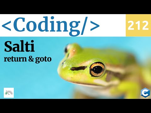 I salti del C: return e goto - Video Coding 212