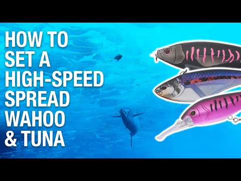 HOW TO Set a HIGH-SPEED TROLLING Spread for WAHOO & TUNA | Features Madscad190AT, Madmacs, DTX 180HD