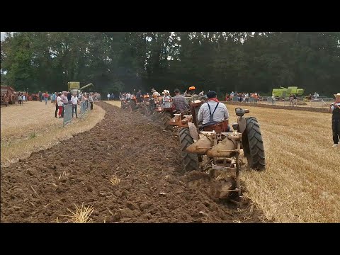 Labour et travail de terre guipel 2025