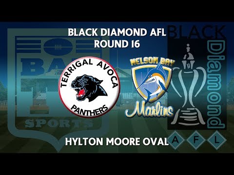 2018 Black Diamond AFL First Grade Round 16 - Terrigal Avoca Panthers v Nelson Bay Marlins