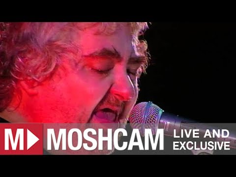 Daniel Johnston - Living Life | Live in Sydney | Moshcam