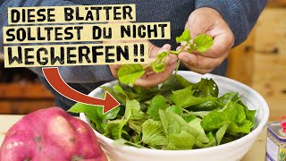 Nicht wegwerfen! Die Blätter von Süßkartoffeln sind eine Delikatesse! So kochst du mit ihnen.