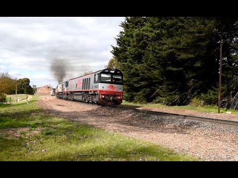 SCT Logistics 3 SCT's 3 CSR's on 1PM9 and 4 CSR's on 3MA9 31st August 2022