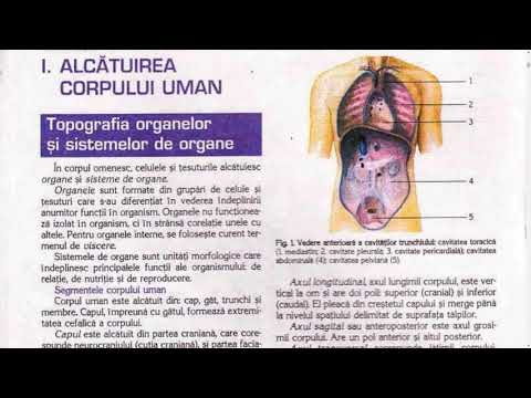 I. ALCĂTUIREA CORPULUI UMAN - TOPOGRAFIA ORGANELOR SI SISTEMELOR DE ORGANE