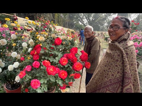 Age is Just a Number! Met a Special Couple at Exhibition| Rose Flower With ID| Best Flowers Forever 