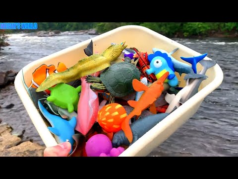 Unboxing a GIANT Box of Sea Animal Toys! 🐋 Learn All Kinds of Ocean Animals for Kids!
