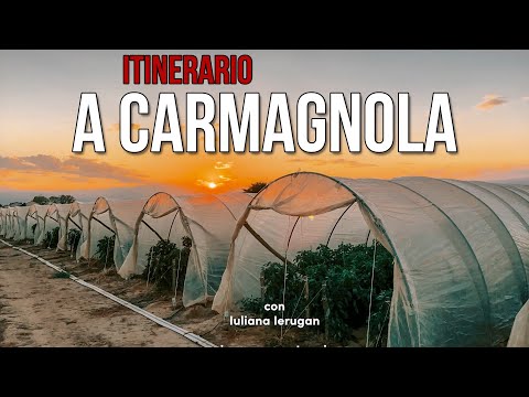 A Carmagnola con Iuliana Ierugan