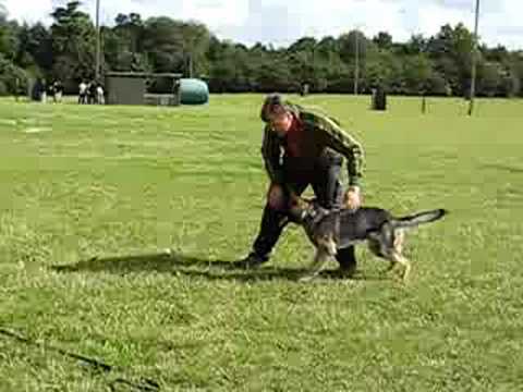 jabina Ninja 2nd attack