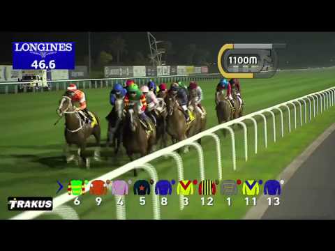 2014 Dubai Duty Free G1