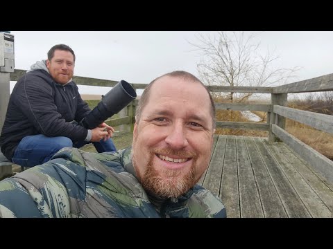 Tierfotografie in Meckpomm März 2024 Teil 1: Fischland-Darß-Zingst