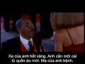 The Nutty Professor VIETSUB