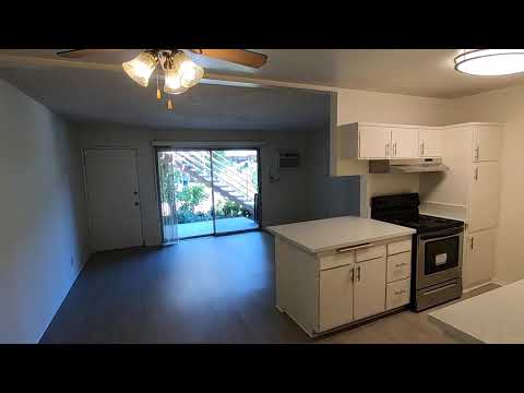 PL9043 - Beautifully Remodeled Modern 1 Bed Apartment For Lease!