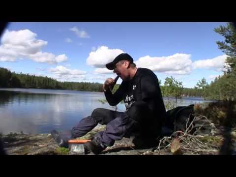 Skogstur i september, Aurskog-Høland.