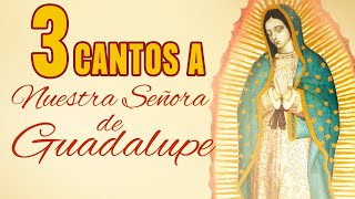 3 CANTOS A LA VIRGEN DE GUADALUPE | LA GUADALUPANA | A TI VIRGENCITA | DEL CIELO BAJÓ | POPULARES