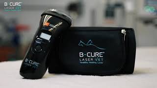 B-Cure Laser Vet Device