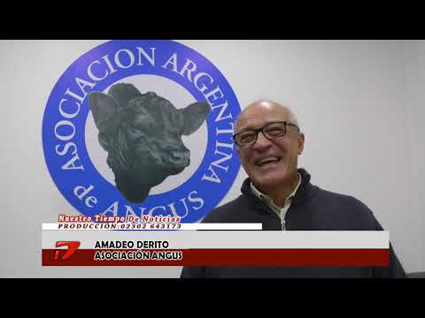 Amadeo Derito - Asociación Angus