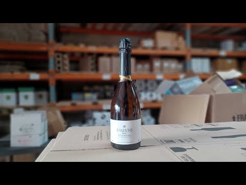 Novel Wines Explorer's Club - Pizzato Fausto Brut NV, Brazil