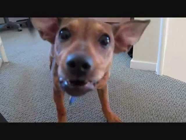 YouTube video preview