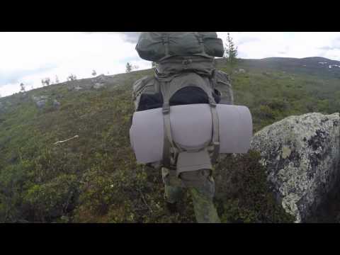 Seikkailijat vlog #4 - Hammastunturi