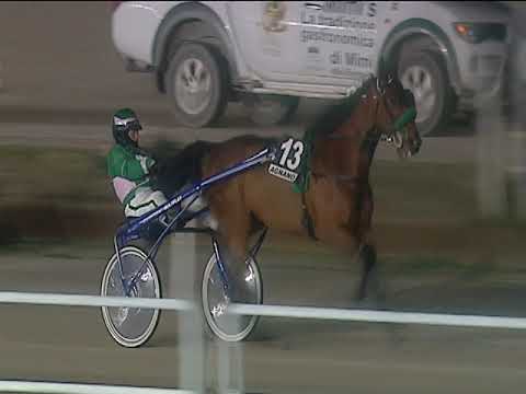 Trotto 25/01/2019 - 6ª corsa