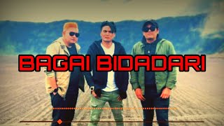 Download lagu Charly VHT - Bagai Bidadari mp3