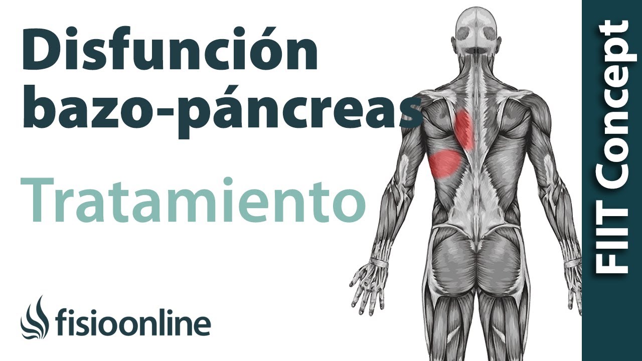 Disfunciones de bazo-páncreas y dolor de espalda y dorsales - Causas y tratamiento