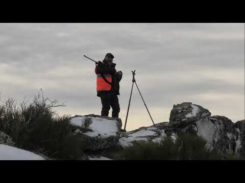 CACERIA EN LA GARGANTA DE NAVAMEDIANA   8   ENERO   2022
