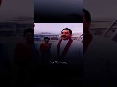 SuckDevi Vanuma (සක්දෙවි වැනුම) - WAYO ft. Ravi Jay & Charitha Attalage #music #lyrics #shortvideo