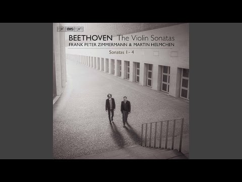 Violin Sonata No. 1 in D Major, Op. 12 No. 1: I. Allegro con brio