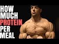 How Much Protein | Muscle Building