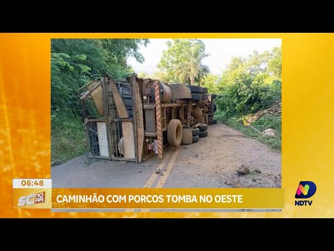 Acidente na SC-155: Caminhão com porcos tomba em Xavantina