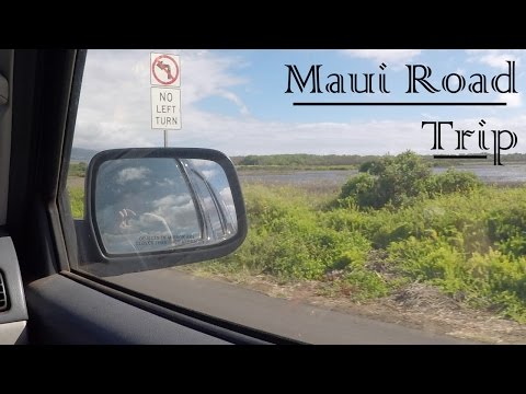 Maui Road Trip | Olowalu Views and Honolua Snorkeling