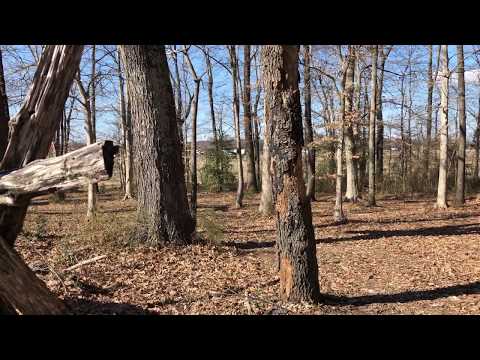 Parker's Crossroads (Tenn.): Union cemetery site: