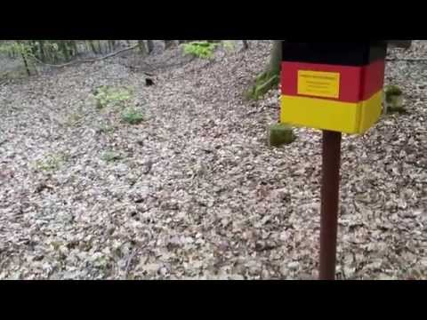 Stempelstelle Zweiländereiche - Harzer Wandernadel