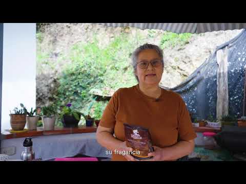 miPáramo Emprende - Café Brisas - ASOMURPITA - Pamplonita, Norte de Santander