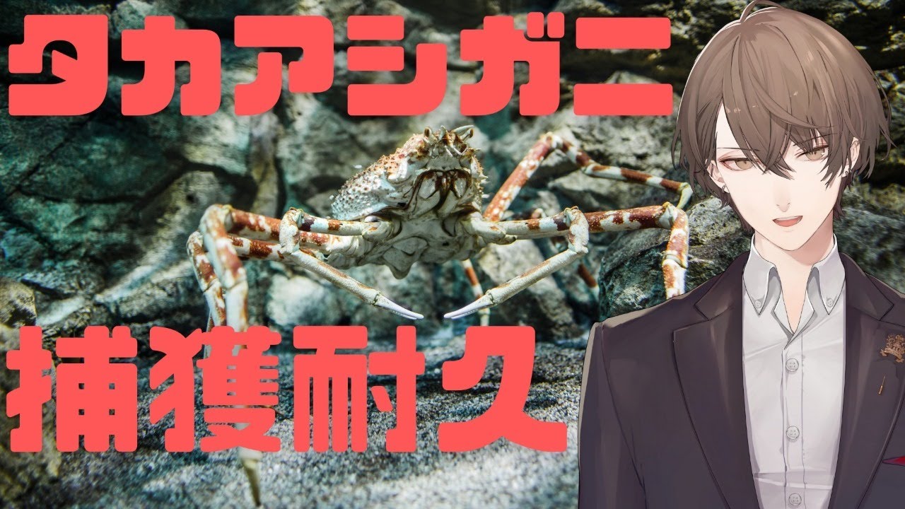【あつまれどうぶつの森】タカアシガニ捕獲耐久配信【にじさんじ/加賀美ハヤト】