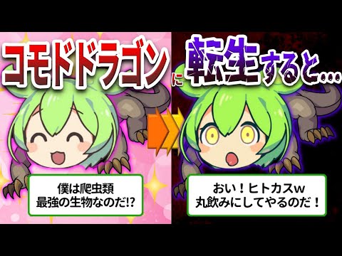 ヴァラヌス・コモドエンシス