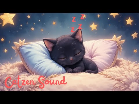 Star Sleep Cats – Chillout for Focus & Peace ????????