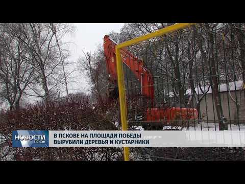 30.01.2018 # В Пскове на Площади Победы вырубили деревья и кустарники