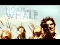 Noah And The Whale   The Line